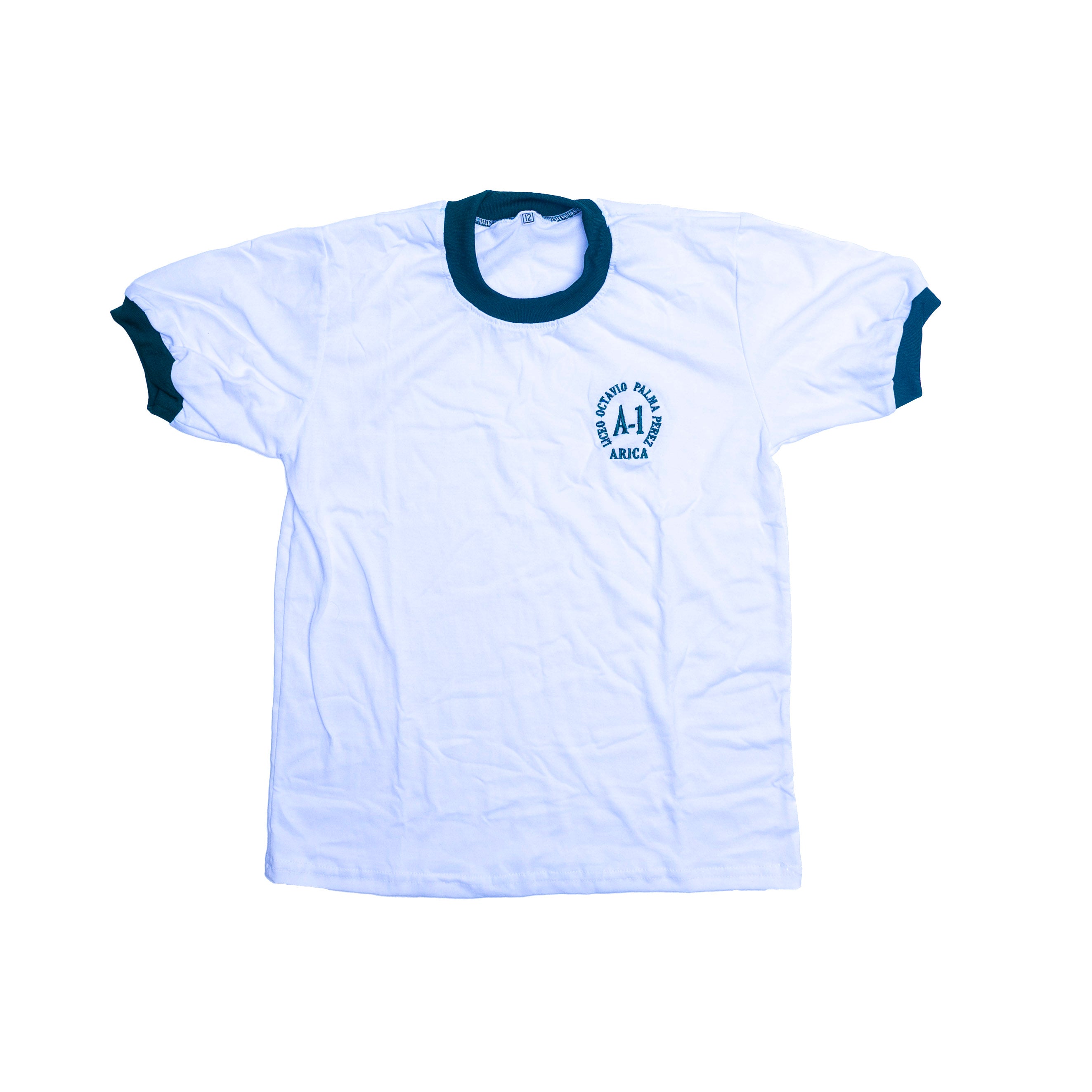 Polo Jersey Liceo A-1 Octavio Palma Pérez