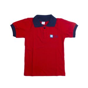 Polera Escuela los Ibiscos