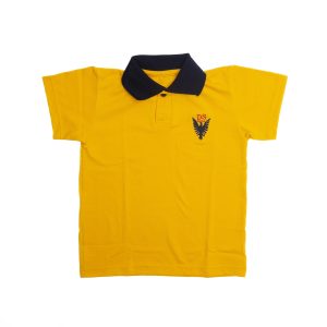 Polera Piqué Colegio Alemán Arica