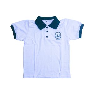 Polera Piqué Liceo A-1 Octavio Palma Pérez